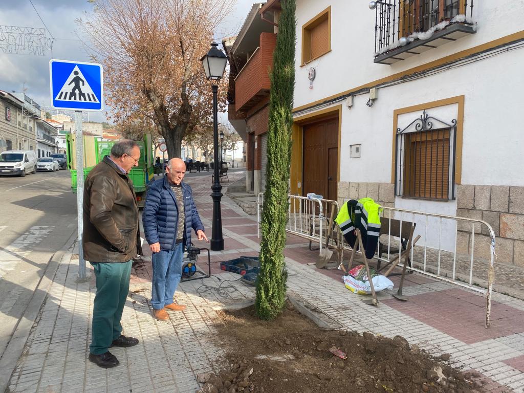 El Ayuntamiento de Morata arranca un plan para conseguir 0 alcorques vacíos